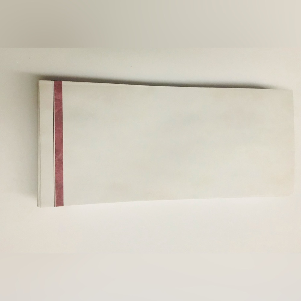 New 50 Envelopes Geographics Light Grey with Red Line on Left Side Front Back